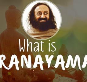 What is Prana and Pranayama video